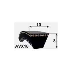 Ремень зубчатый AVX10