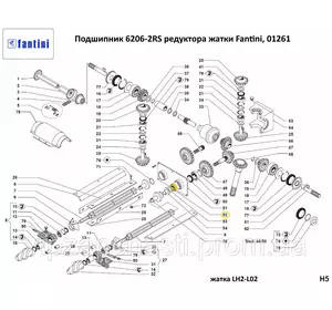 Подшипник 6206-2RS редуктора жатки Fantini, 01261