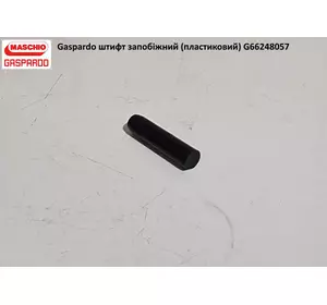 Штифт запобіжний (пластиковий) Gaspardo G66248057