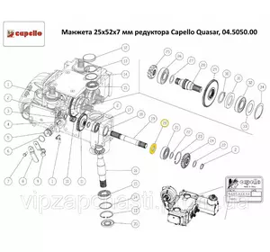 Манжета 25х52х7 мм редуктора Capello Quasar, 04.5050.00